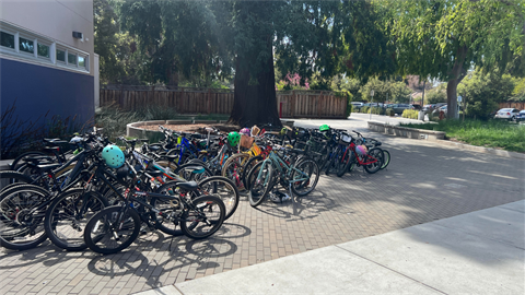 Bikes parked attached to bike loops