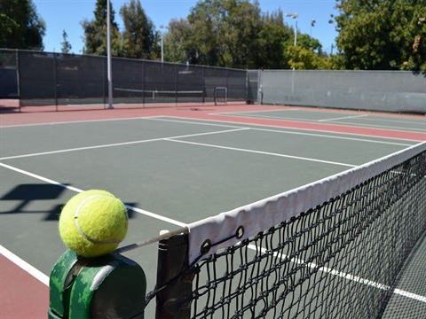 tennis-ball-sits-on-the-net-inside-Nealon-Park-tennis-court.jpg