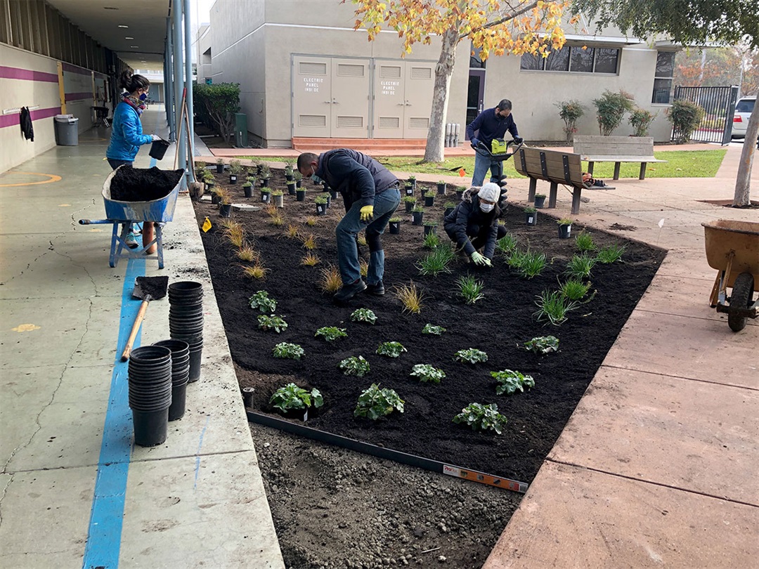 Belle Haven Elementary receives new rain garden City of Menlo Park