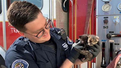 Peninsula-Humane-Society-and-SPCA-officer-holds-kittens.jpg