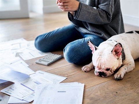 Dog-lays-on-floor-next-to-owner-who-is-going-through-monthly-bills.jpg