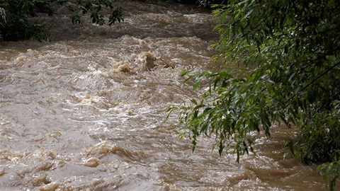 Flood-waters-in-creek-rush-under-green-branches.jpg