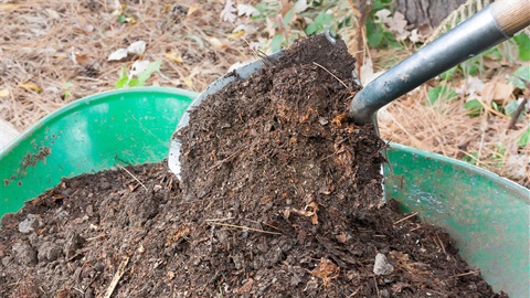 Spade-scoops-compost-from-green-wheel-barrow.jpg
