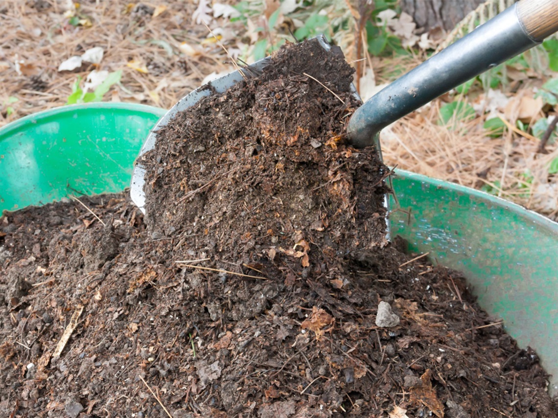 Spade-used-to-shovel-compost-in-a-wheel-barrow.jpg