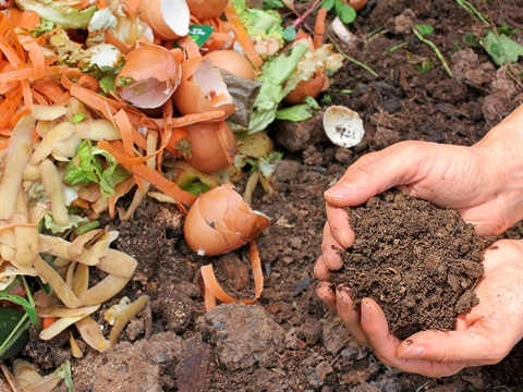 Hands-hold-compost-created-from-food-waste.jpg
