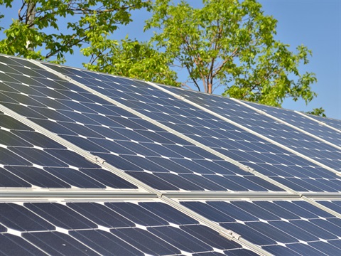 rooftop-solar-panels-with-trees-in-background.jpg