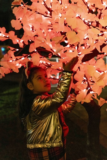 Shop Local! Light up the Season, Dec. 6, 2024