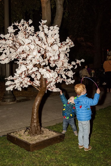 Shop Local! Light up the Season, Dec. 6, 2024