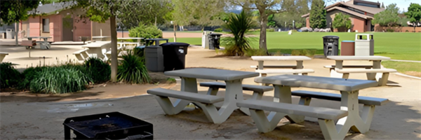 picnic-area.png