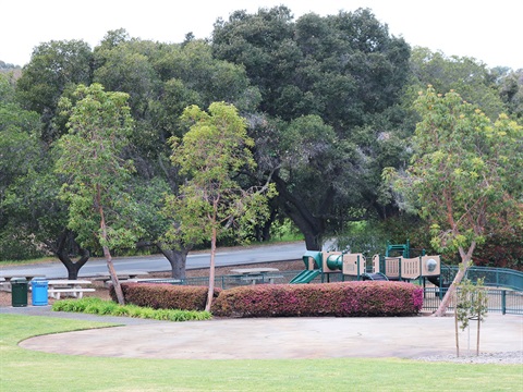 Stanford-Hills-Park.jpg