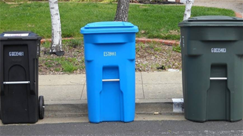 Recology-black-bin-blue-bin-and-green-bin-on-a-curb