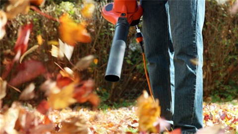 Person holding leaf blower blowing leaves