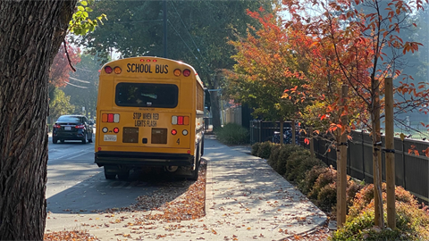 School bus parked by bushes and autumn colored trees