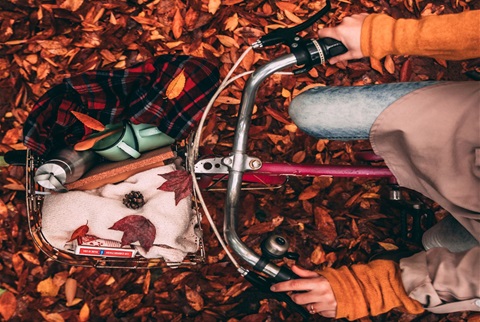 Bike with autumn leaves