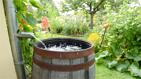 Rain barrel