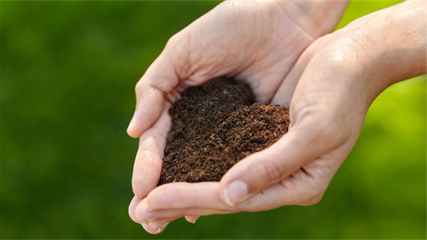 Hands holding soil