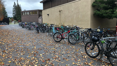 Bikes and bike racks