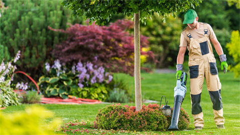 Electric leaf blower