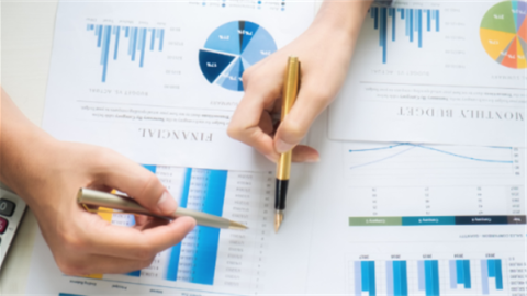 Budgeting charts