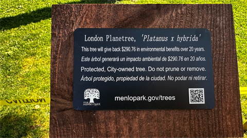 Heritage tree plaque
