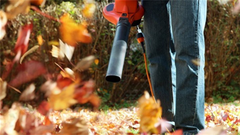 Leafblower