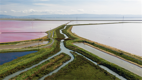 Bay landscape