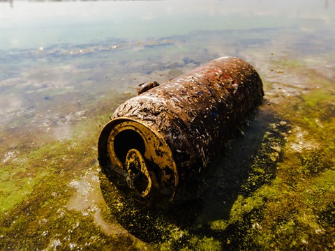 Aluminum-can-trash-in-natural-body-of-water-with-algae.jpg