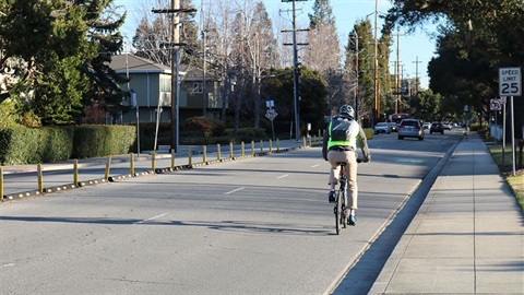 Bicyclist on Ravenswood Avenue.jpg