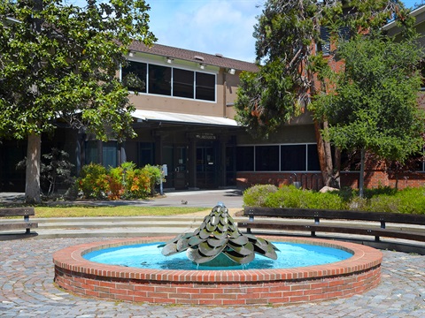 City-Hall-with-water-fountain-feature-in-front.jpg