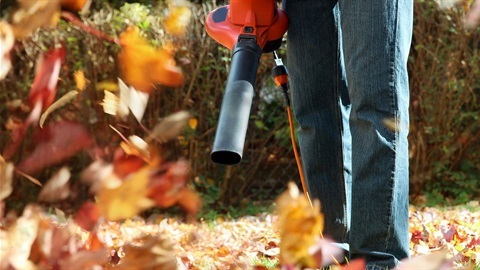 electric-leaf-blower-plugged-in-and-used-to-clear-fall-leaves.jpg