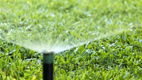 garden irrigation system spray.jpg