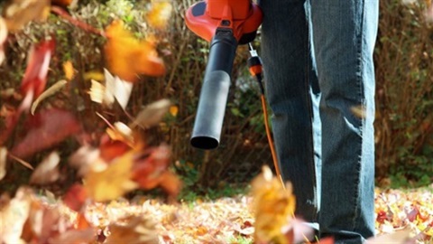 Gas powered leaf blower.jpg