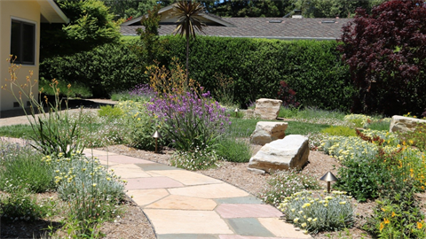 Lawn and bushes in front of house