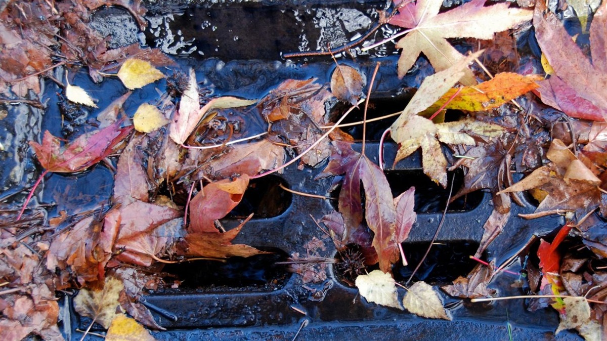 Ways to use and safely dispose of leaves City of Menlo Park