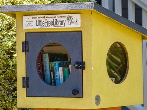 little free library.jpg