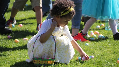 little girl gathering eggs.jpg