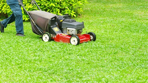 Man operating gas powered lawn mower.jpg