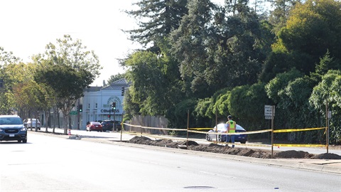 Median-tree-removals-on-El-Camino-Real-Glenwood-Valparaiso-to-Encinal.jpg