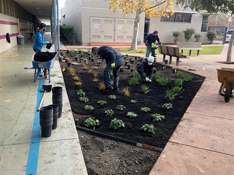 OpenCities--Belle-Haven-Elementary-Rain-Garden-Volunteers.jpg