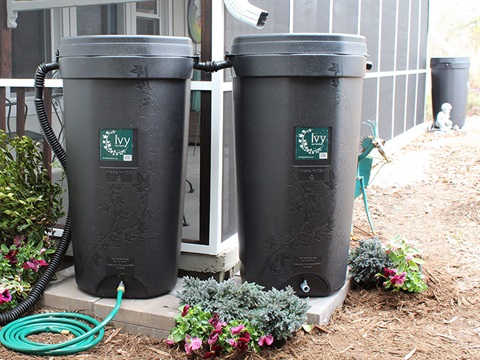 OpenCities--Ivy-rain-barrels.jpg