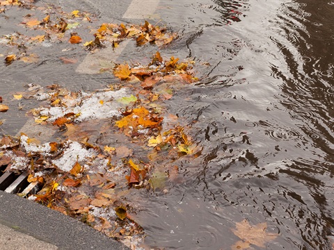 OpenCities-Leaves-block-storm-drain-grate-causing-street-flooding.jpg