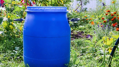 Rain-barrel-in-backyard-garden.jpg