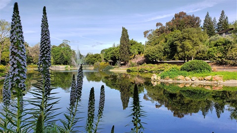 Sharon-Park-Lake-and-fountain.jpg