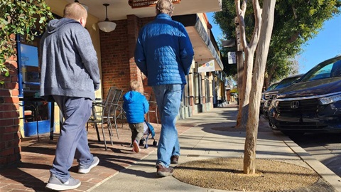 Tree pilot program in downtown Menlo Park.jpg