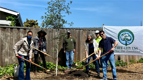 six individuals with shovels planting a tree