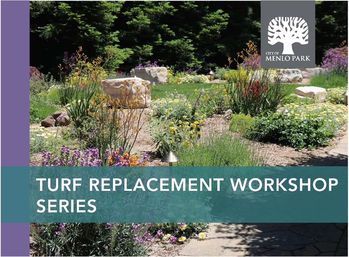 Turf replacement and garden transformation workshop Oct 14 City of