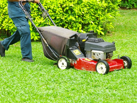 man-pushes-gas-powered-lawn-mower.jpg