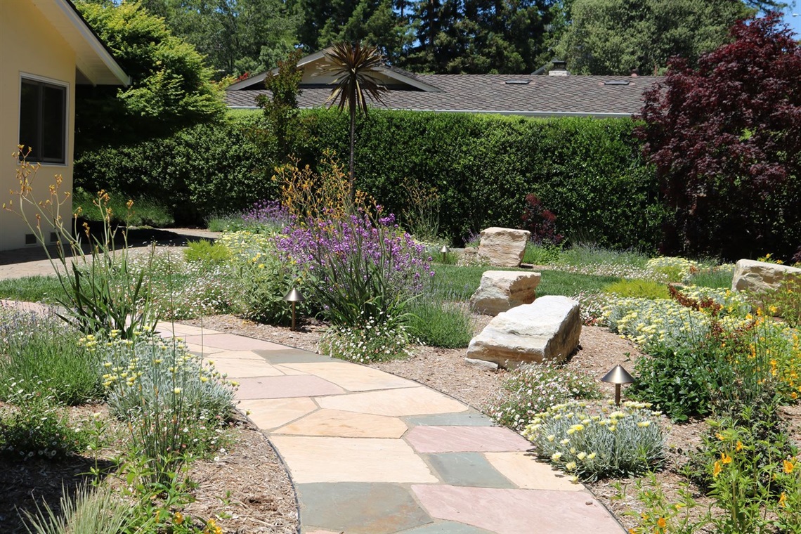 drought tolerant landscape.JPG