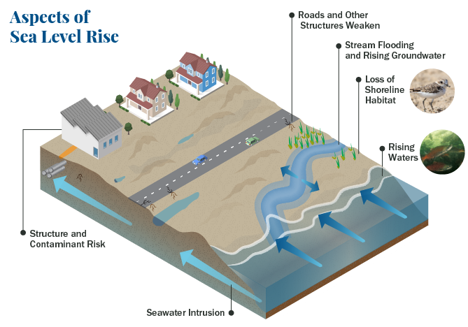 Aspects of Sea Level Rise depicting the rising waters 
