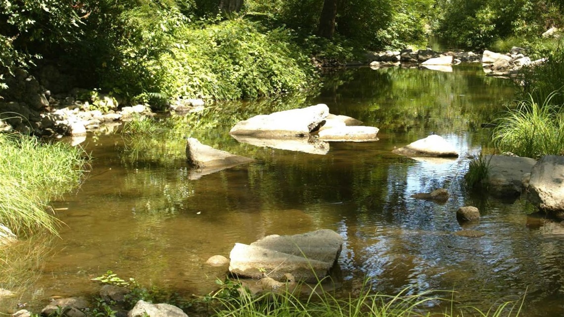 San-Francisquito-Creek.jpg